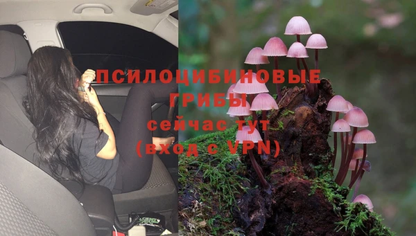 марки lsd Абдулино
