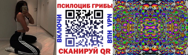 Галлюциногенные грибы Psilocybine cubensis Судогда