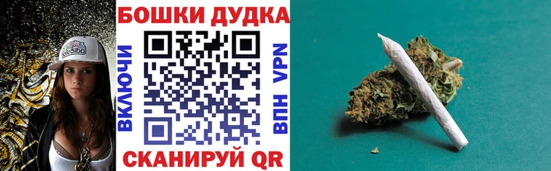 хочу наркоту  Судогда  mega сайт  Конопля индика 